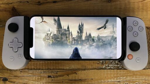 Backbone Controller Hogwarts Legacy